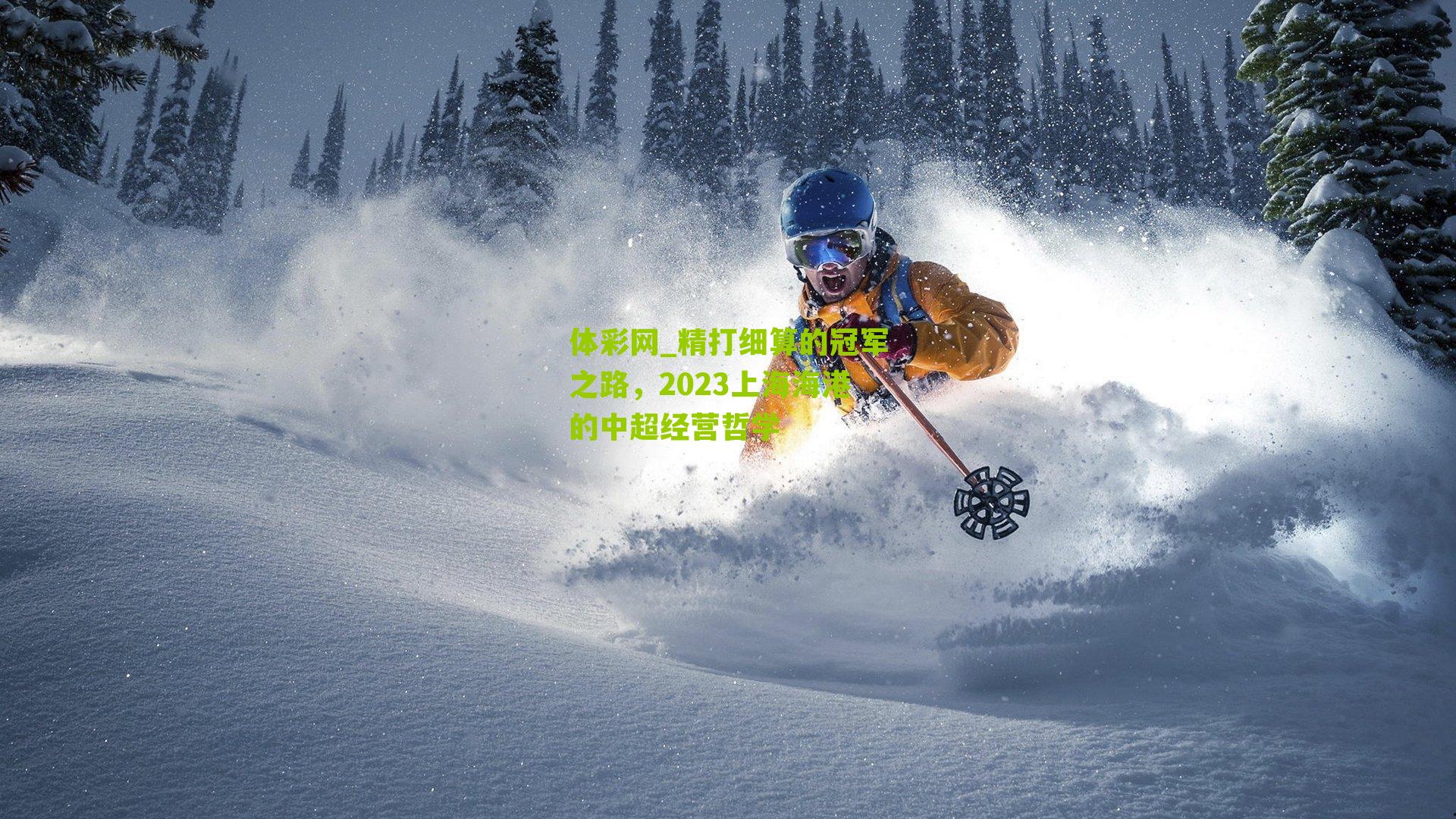 体彩网_精打细算的冠军之路，2023上海海港的中超经营哲学